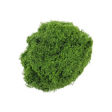 diy artificial moss lawn-Dark Green Filamentous Moss 500g (Bulk) In Australia - Darrahopens