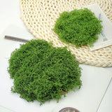 diy artificial moss lawn-Dark Green Filamentous Moss 1000g (Bulk)