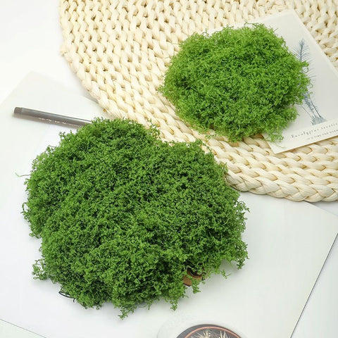 diy artificial moss lawn-Dark Green Filamentous Moss 1000g (Bulk)