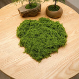 diy artificial moss lawn-Light Green Filamentous Moss 20g