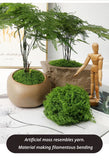 diy artificial moss lawn-Light Green Filamentous Moss 20g
