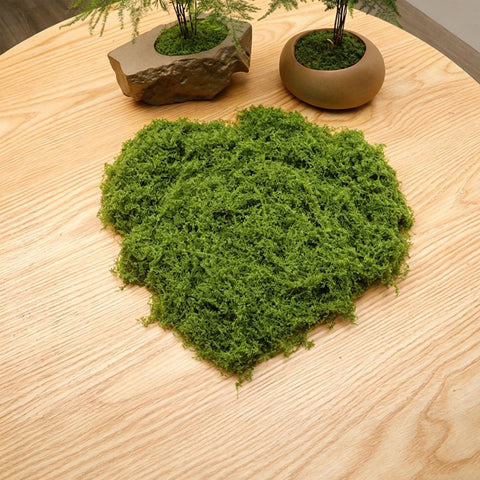diy artificial moss lawn-Light Green Filamentous Moss 30g