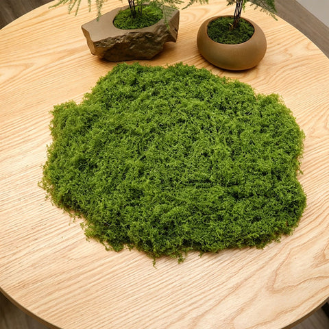 diy artificial moss lawn-Light Green Filamentous Moss 50g