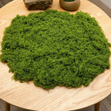 diy artificial moss lawn-Light Green Filamentous Moss 100g In Australia - Darrahopens