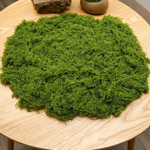 diy artificial moss lawn-Light Green Filamentous Moss 100g In Australia - Darrahopens
