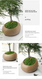 diy artificial moss lawn-New moss (light green thread style) 1m × 1m