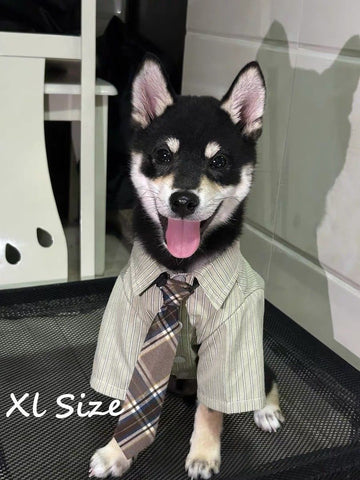 Casual Thin Spring Summer Pet Shirt, Smart Collared Outfit Complete With Tie, Green, Size XL, Back Length 39cm, For 11‑14kg Pets, Christmas Halloween Pet Owner Gift In Australia - Darrahopens