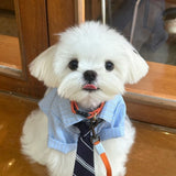 Casual Thin Spring Summer Pet Shirt, Smart Collared Outfit Complete With Tie, Green, Size XL, Back Length 39cm, For 11‑14kg Pets, Christmas Halloween Pet Owner Gift In Australia - Darrahopens