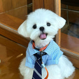 Elegant Lightweight Pet Shirt With Matching Tie, Spring Summer Thin Outfit for Pets, Blue, Size L, Back Length 34cm, Fits 8‑10kg Pets, Christmas Halloween Practical Pet Gift In Australia - Darrahopens