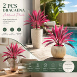 Purple Artificial Dracaena Fragrans Plant Home Patio Decor Set of 2 In Australia - Darrahopens