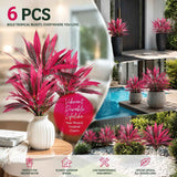 Purple Artificial Dracaena Tree Table & Backyard Decor 6 Pack In Australia - Darrahopens