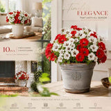 White & Red Mixed Faux Eucalyptus Pansy Stems Table Decor Set of 10 In Australia - Darrahopens