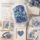 Gradient Preserved Hydrangea Floral DIY Accessory Blue Purple Shade 5g Pack In Australia - Darrahopens