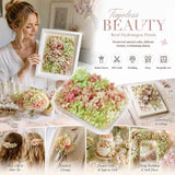 Warm Mixed Tone Preserved Hydrangea DIY Floral Arrangement Supply 5g Pack In Australia - Darrahopens