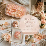 Hibiscus Gradient Preserved Hydrangea Dried Flower DIY Handmade Material 5g Box In Australia - Darrahopens