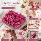 Purple Cloud Gradient Preserved Hydrangea Resin Craft Floral Material 5g In Australia - Darrahopens
