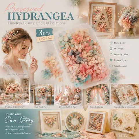 Dreamy Gradient Preserved Hydrangea DIY Craft Flower Kit 5g Per Box Set of 3 In Australia - Darrahopens