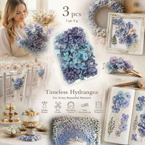 Blue Purple Tone Preserved Hydrangea Dried Floral DIY Supply Pack 3 Boxes ×5g In Australia - Darrahopens