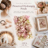 Taro Purple Gradient Hydrangea Preserved Flower Handmade Kit 3×5g Boxes In Australia - Darrahopens
