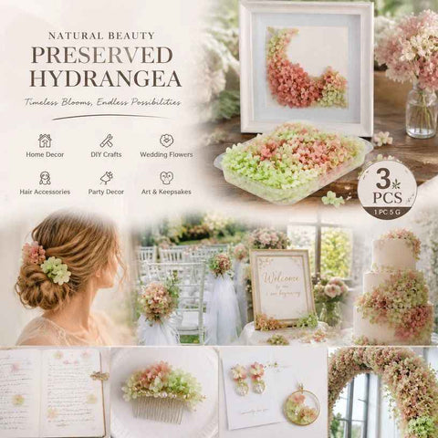 Warm Mixed Shade Preserved Hydrangea Floral Arrangement Kit 3 Pack 5g In Australia - Darrahopens