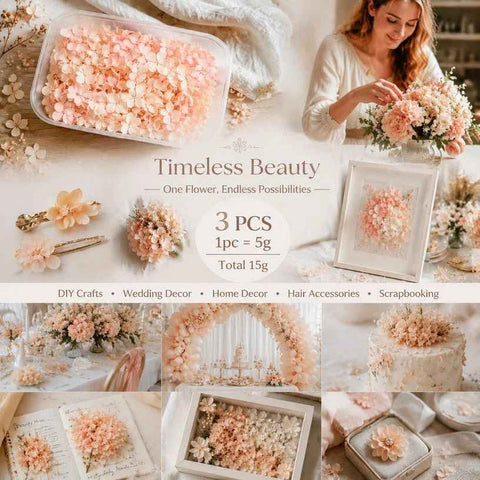 Hibiscus Tone Preserved Hydrangea Gradient Dried Flower DIY Kit 3×5g Pack In Australia - Darrahopens