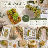 Soft Jade Gradient Preserved Hydrangea Handcraft Floral Supply Set of 3 In Australia - Darrahopens