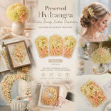 Modern Mixed Shade Preserved Hydrangea Wedding DIY Decor Kit 3 Boxes 5g In Australia - Darrahopens