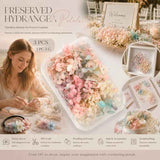 Champagne Gradient Preserved Hydrangea Dried Craft Flower Pack of 3 Boxes 5g In Australia - Darrahopens