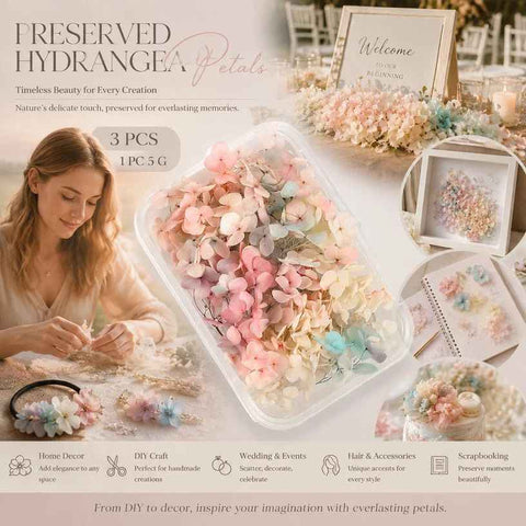 Champagne Gradient Preserved Hydrangea Dried Craft Flower Pack of 3 Boxes 5g In Australia - Darrahopens