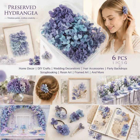 Blue Purple Shade Preserved Hydrangea Dried Floral Craft Supply Pack of 6 Boxes In Australia - Darrahopens