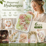 Warm Mixed Tone Preserved Hydrangea Soap Craft Floral Kit 6 Boxes 5g Each In Australia - Darrahopens