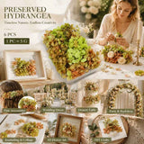Soft Jade Tone Preserved Hydrangea Resin Craft Supply Kit 6×5g Boxes In Australia - Darrahopens