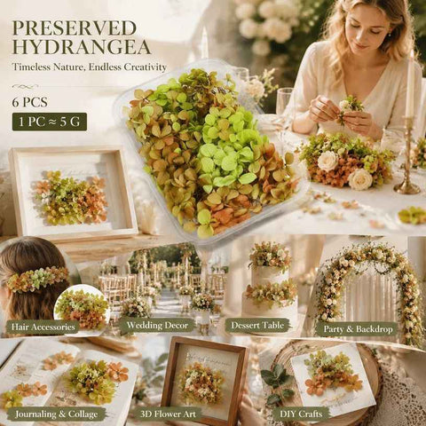 Soft Jade Tone Preserved Hydrangea Resin Craft Supply Kit 6×5g Boxes In Australia - Darrahopens