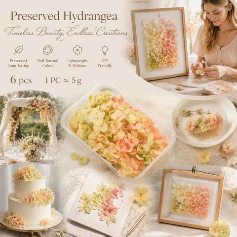 Modern Mixed Shade Preserved Hydrangea DIY Floral Craft Bundle Set of 6 In Australia - Darrahopens