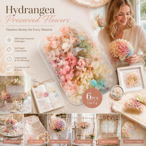Champagne Gradient Preserved Hydrangea Handcraft Flower Pack 6 Boxes 5g In Australia - Darrahopens