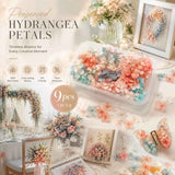 Dreamy Gradient Preserved Hydrangea Bulk DIY Craft Flower Pack 9 Boxes 5g Per Box In Australia - Darrahopens