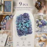 Blue Purple Gradient Preserved Hydrangea Dried Floral Resin Supply Bundle of 9 In Australia - Darrahopens