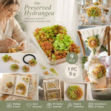 Soft Jade Tone Preserved Hydrangea Gradient Handcraft Bulk Bundle 9×5g Pack In Australia - Darrahopens