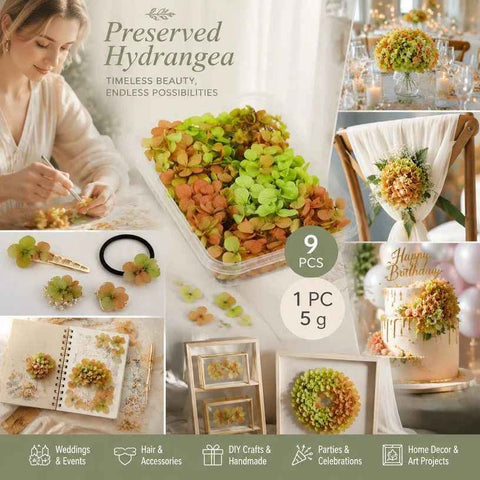 Soft Jade Tone Preserved Hydrangea Gradient Handcraft Bulk Bundle 9×5g Pack In Australia - Darrahopens