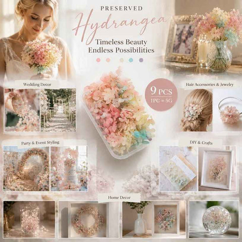 Champagne Gradient Preserved Hydrangea Craft Floral Bulk Kit 9 Boxes 5g Each In Australia - Darrahopens
