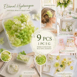 Pale Green Champagne Preserved Hydrangea Resin Making Bundle Set of 9 In Australia - Darrahopens