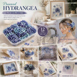 Blue Purple Tone Preserved Hydrangea Dried Floral Resin Supply Large Pack of 12 In Australia - Darrahopens