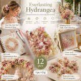 Taro Purple Gradient Preserved Hydrangea Wedding DIY Floral Bulk Bundle 12×5g Boxes In Australia - Darrahopens