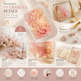 Hibiscus Gradient Preserved Hydrangea Dried Flower DIY Arrangement Bulk Kit 12 In Australia - Darrahopens
