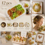 Soft Jade Tone Preserved Hydrangea Gradient Craft Flower Large Pack 12×5g Boxes In Australia - Darrahopens