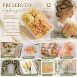 Modern Mixed Shade Preserved Hydrangea Event DIY Decor Bulk Bundle of 12 In Australia - Darrahopens
