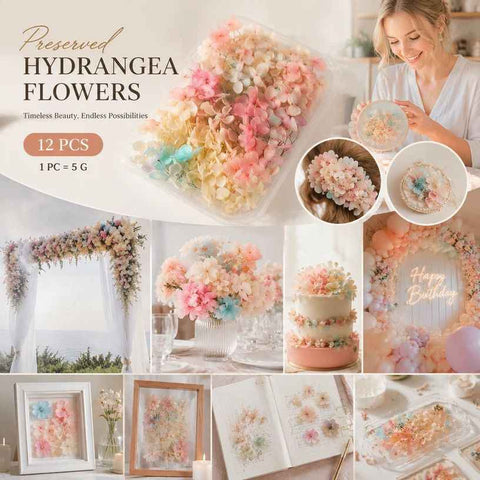 Champagne Gradient Preserved Hydrangea Handcraft Floral Large Kit 12 Boxes 5g In Australia - Darrahopens