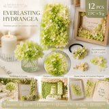Pale Green Champagne Preserved Hydrangea Resin Making Bulk Supply Pack 12 In Australia - Darrahopens