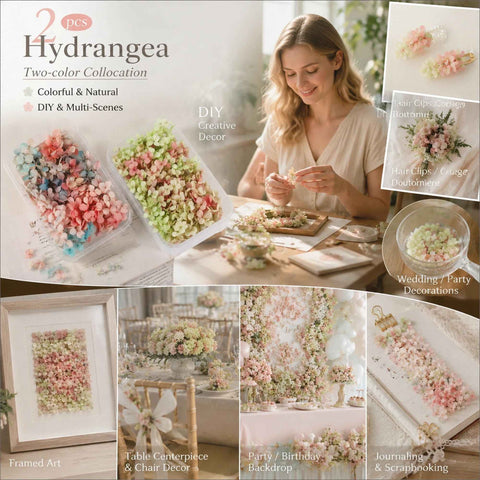 Dreamy Tone & Warm Mixed Shade Preserved Hydrangea Wedding Craft Dried Flower Set of 2 In Australia - Darrahopens