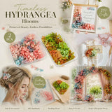 Dreamy Tone & Hibiscus Tone Preserved Hydrangea Bouquet Making Craft Supply 2 Pack In Australia - Darrahopens